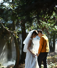 �������Ϲ�ÿ��20�Ŷ����ͻ����ң��ĸ���ɴ������ϲ���ķ��