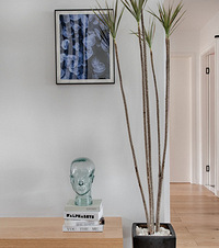 ϱԺ161ƽгǽϣһкеĶԾ