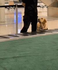 ����û�ˣ����������