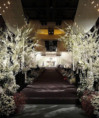 ����������Ž�������������������ܰ������