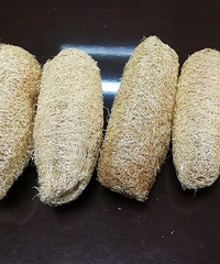 ̵ʮԪڵļҾӺ˲ϵ