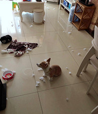 �������չ���պú���