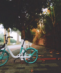 ���5����Ȼ�а����������������ﻹ����ĸ׼��