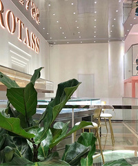 ROTASS�µ꿪ҵ���Żݶ�࣬��ϲ�������ȡ�����Ƕ���