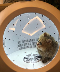 ���Ӷ����ܺ���������