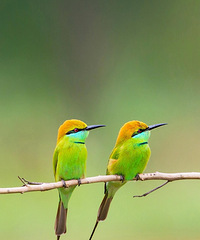 �Ƽ�һ��С���ѿ�����ĵط�