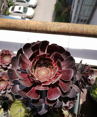 ī��ʦ��Ȼ����������