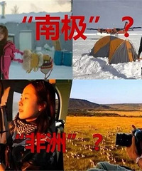 ��һ����޺�������飬��ֻ������