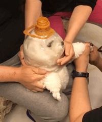 �Ҳ�Ҫ���ӵ��𣿣�