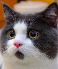 �������˵Ļ���ʵ�ʺ��壬��ӭ����