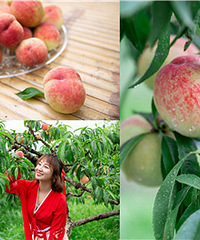 ǰСʱȥժӣ10Ԫһ˹ܱ