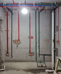 �ڴ���������ŷ�磬һ����С���ѵļң����Ķ������ӻ�