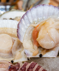 158ԭ308ĺʻײͣһСԶɳԵ