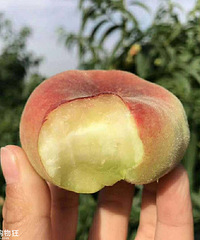 óԵˮţֱһʣֻ5죡