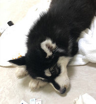 ����ؼҾ͵���ϸС