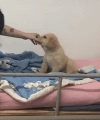 ��һ��Ҫ��������������