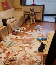 ��������ʱ��װ�޵�����