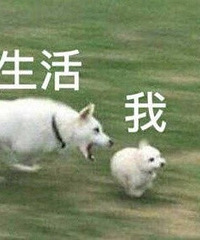 一起吐槽最近的倒霉事,我画眼线戳到眼睛,去厕所地太滑摔了……