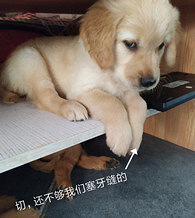 ���������������������