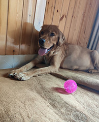 ǧ��Ҫ��ĸ�����ֻ���