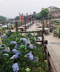 һСʱ·�̣���ݮ��԰�Ը���������ˣ��ȸ������ĩ���޵ء�