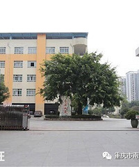 ����ʯСѧУ2019���＾�������£�������Χ