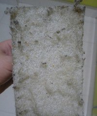�����ϴ��̨�ú��ã�������ʲô���֣�