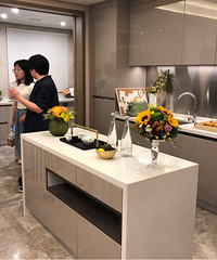 直击蘭园二期发布会