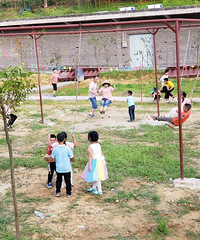 ���۶��������ֲ���ժ��ݮ������Ϻ�������տ�