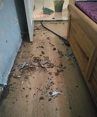 �ؼҷ����߽��߶������ˣ�