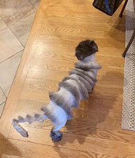 үү��è������������