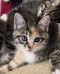 ����Ҫ�������ǵ���