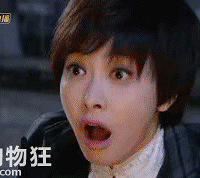 ���ʣ���������ݼ���������ʲô