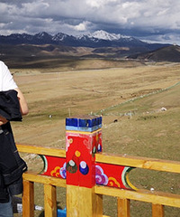 87��172CM�ĸ������飬���½�����ҵ����