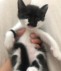 è������������˽�һ�£�