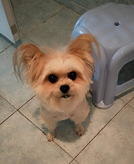 �ϲ���ʱ��������������