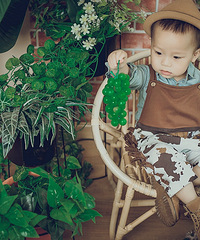 ���Ц����ֶ�������