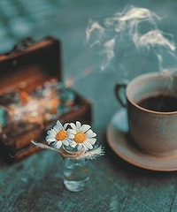 ���������޶�˵��С���Ѵ���ʦ�������߼ҳ�������������׶�԰