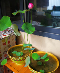 ������̨������������