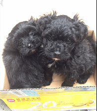 50���С�̹�������