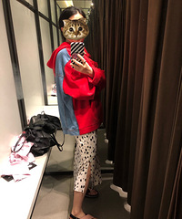 ZARA���ۣ�99����������ÿ���ײɫƴ������