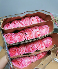 õ廨һյˣ20Ԫ20֧õ廨