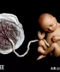 ������Ѫ��ô�ջ𣬵�����ʲôԭ������ģ����˾�������