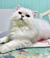 è�����ǲ���Ҫ��������