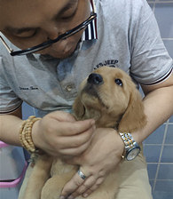 ������ë�����������