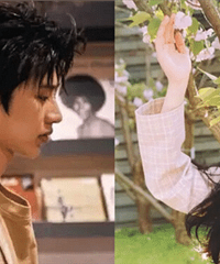 �ܽ����������������ͷ��������