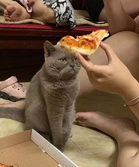 ���������һ�ڶ�������?