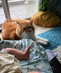 �����ڿ��޵���Ҳ̫�ɰ���