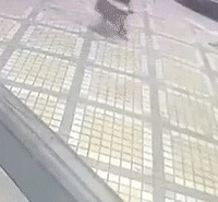 高空坠物可怕,这次掉下来了杠铃片