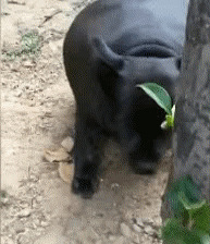 ˵˭�����أ������ǹ���